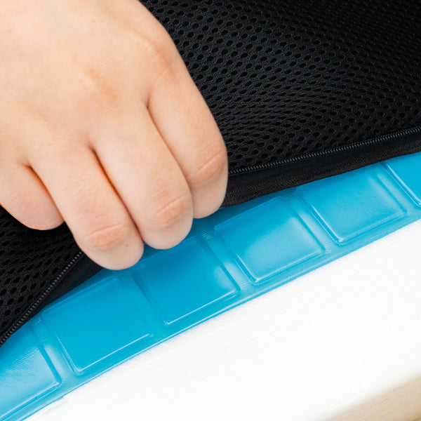 Respaldo Memory Fresh