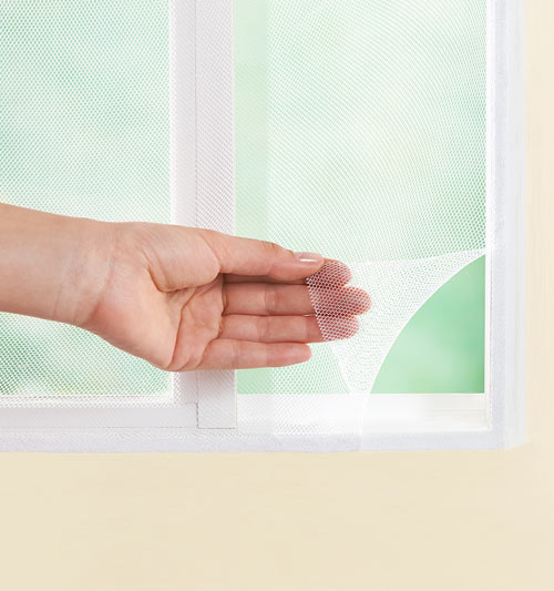 Mosquitero Ventana
