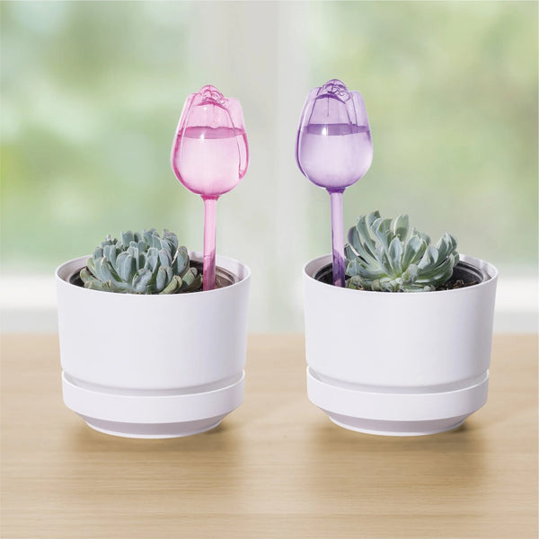 Set Tulipan Riega Facil