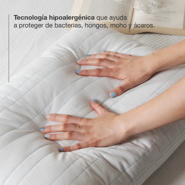 Almohada Standar Vialifresh